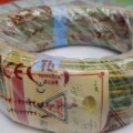 سیم-افشان-افشار-نژاد-خراسان-سایز-1